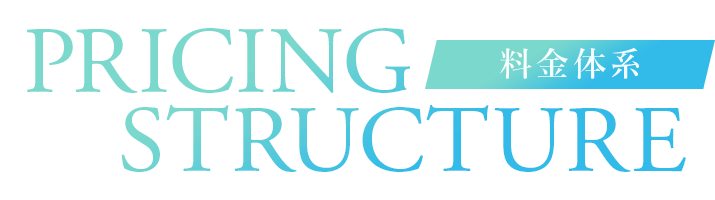PRICING STRUCTURE 料金体系